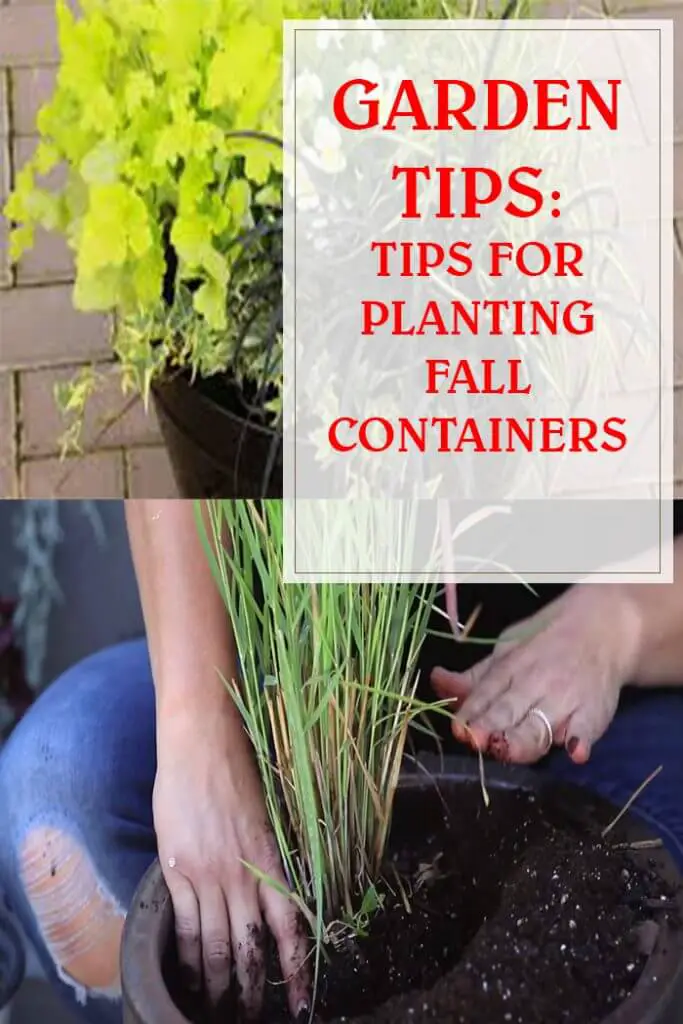 Tips For Planting Fall Containers