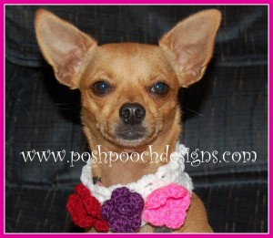 Knitting Patterns For Dogs Little Roses Collar
