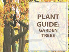Plant Guide Garden Trees