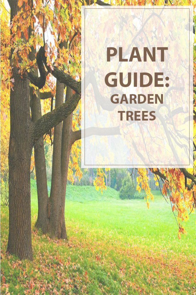 Plant Guide Garden Trees