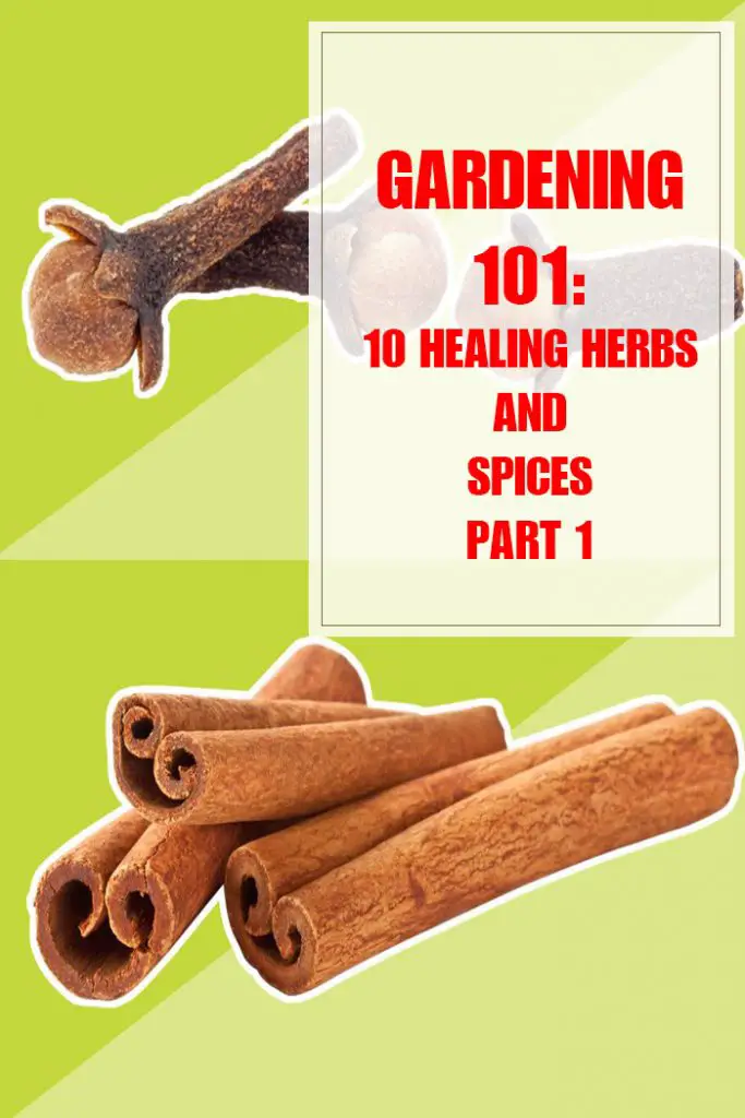 10 Healing Herbs and Spices Part 1