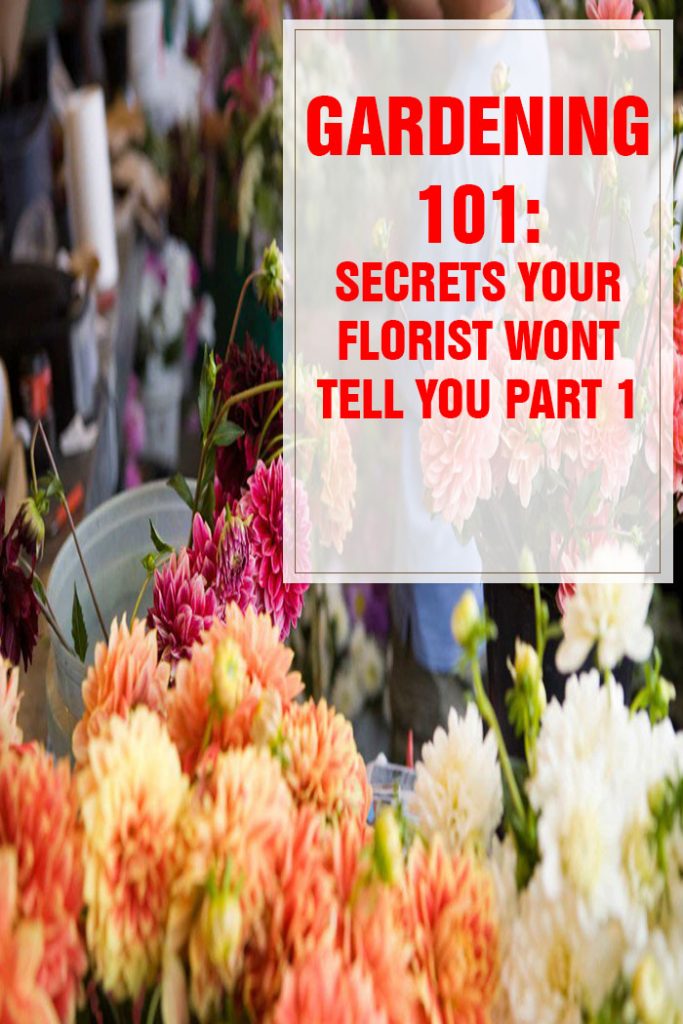 26 Secrets Your Florist Won’t Tell You Part 1