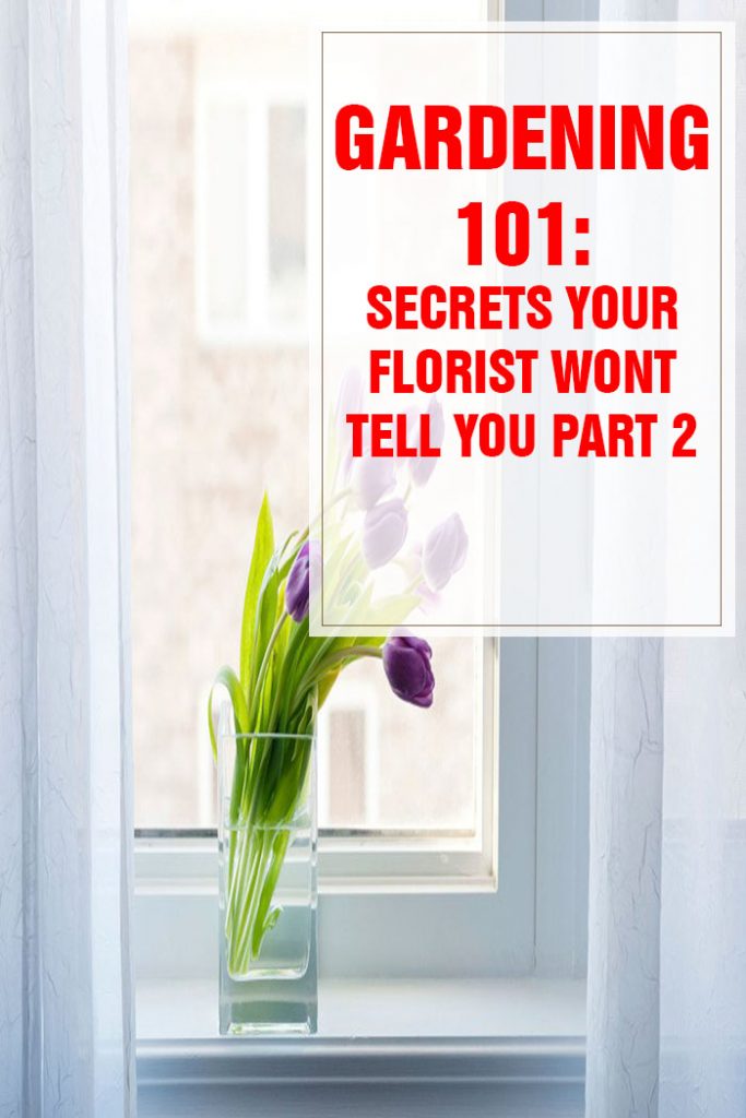 26 Secrets Your Florist Won’t Tell You Part 2