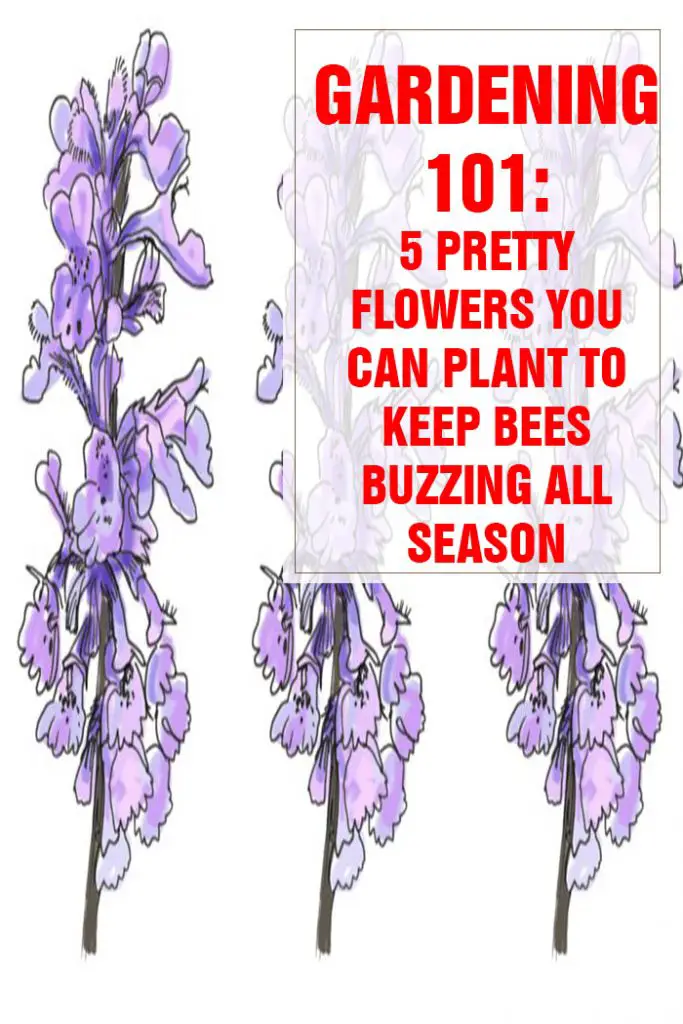 5 Pretty Flowers You Can Plant To Keep Bees Buzzing All Season