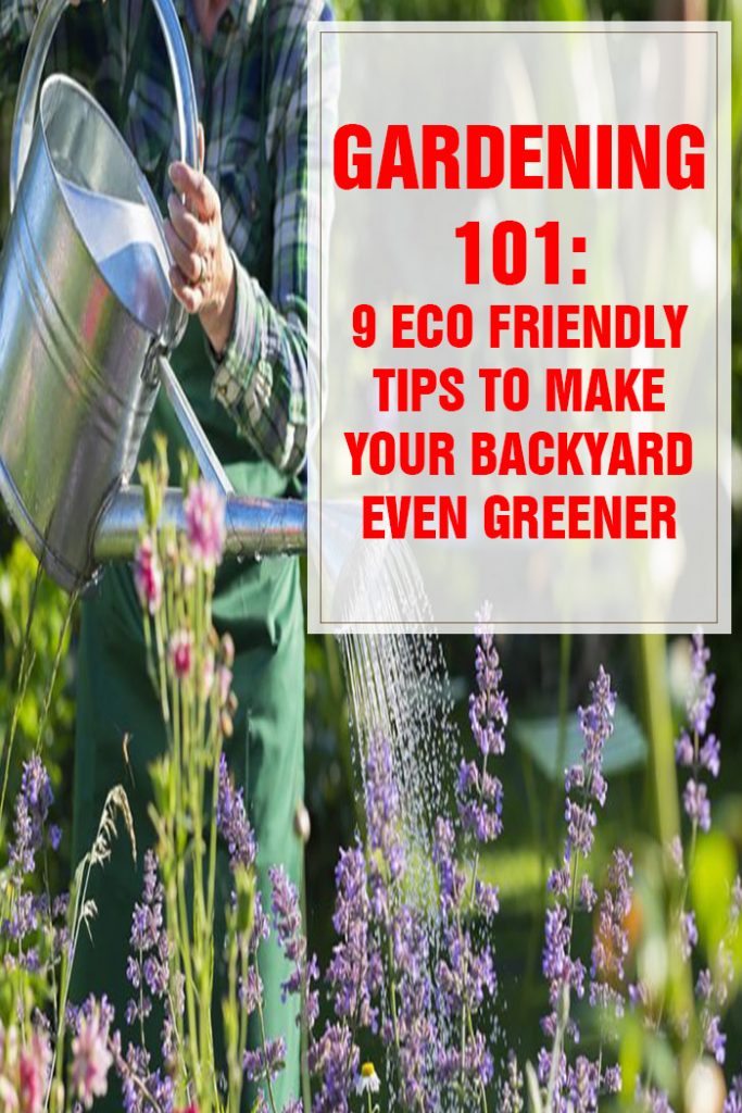 9 Eco-Friendly Tips to Make Your Backyard Even Greener