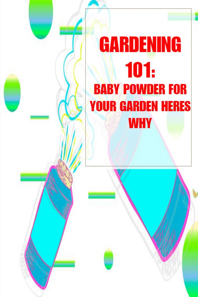 Baby Powder For Your Garden Heres Why