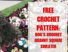 Dog's Crochet Granny Square Sweater Pattern thump