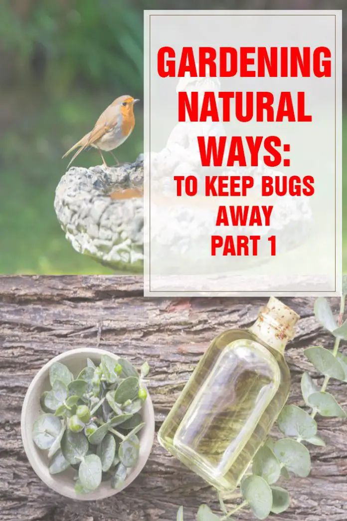Natural Ways to Keep Bugs Away Part 1 HousewivesHobbies