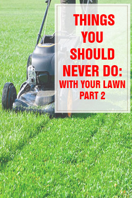 Things You Should Never Do With Your Lawn Part 1 THUMP