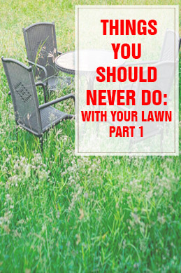 Things You Should Never Do With Your Lawn Part 1