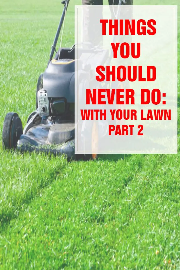 Things You Should Never Do With Your Lawn Part 2