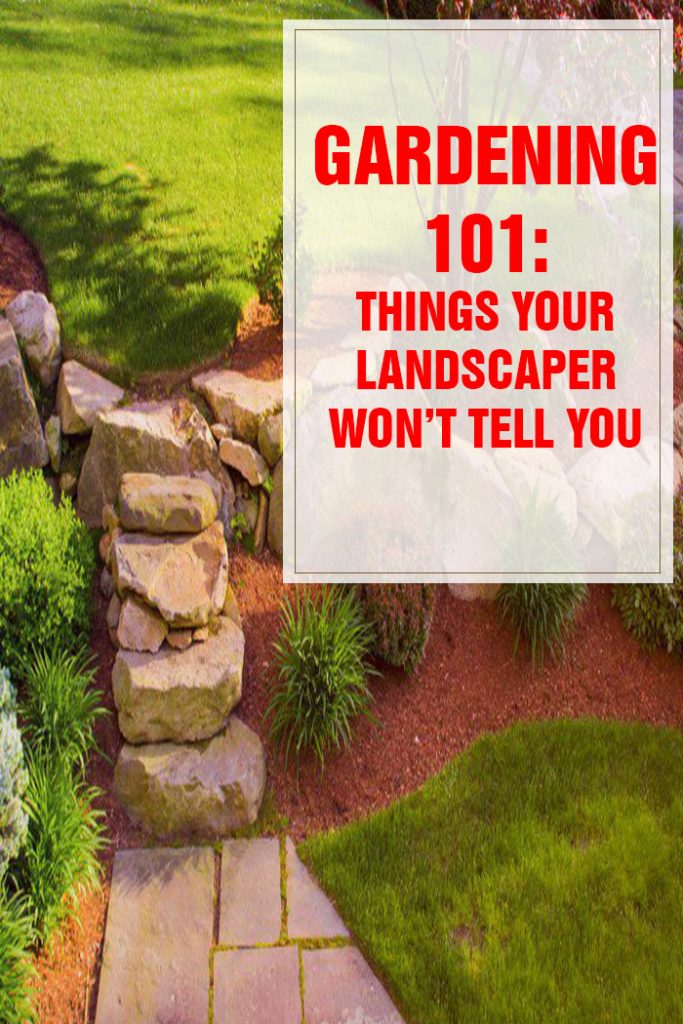 Things Your Landscaper Won’t Tell You Part 1