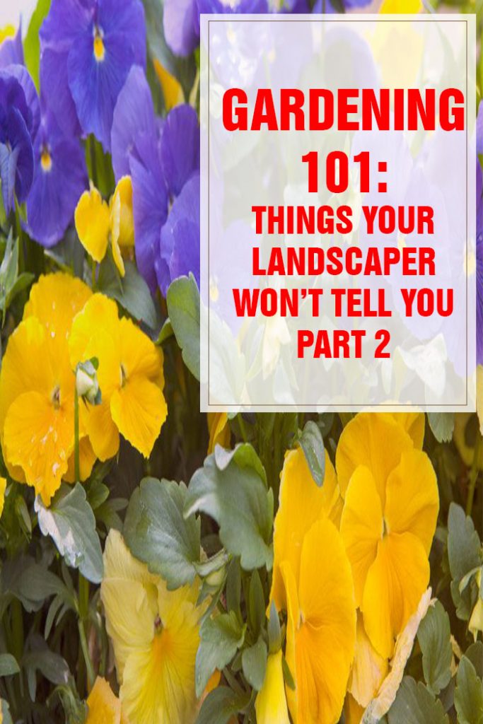 Things Your Landscaper Won’t Tell You Part 2
