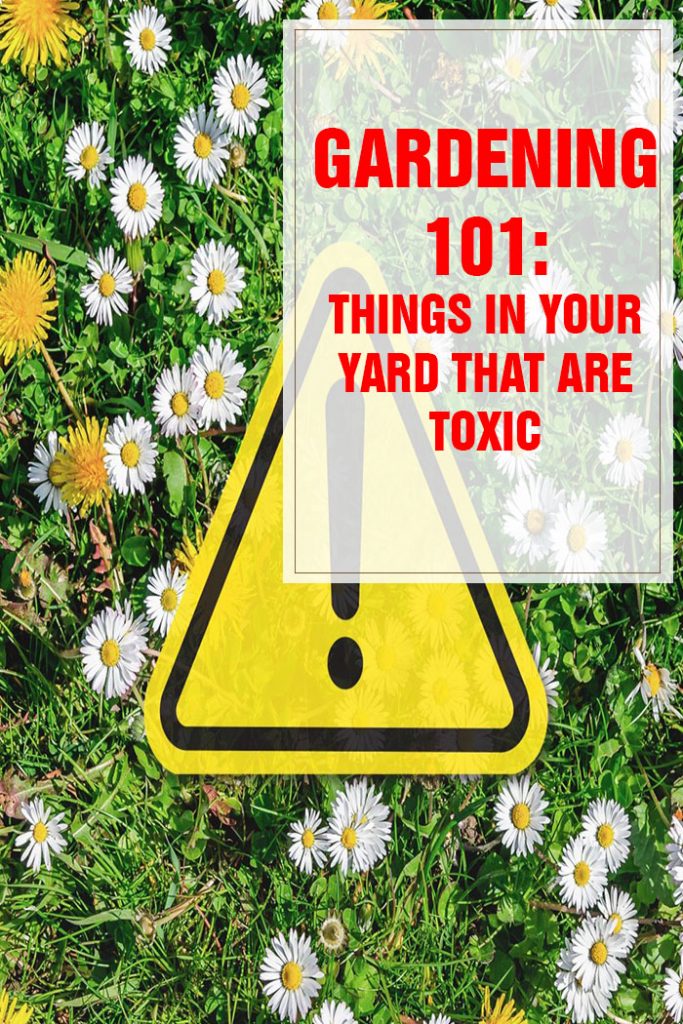Things in Your Yard That Are Actually Toxic