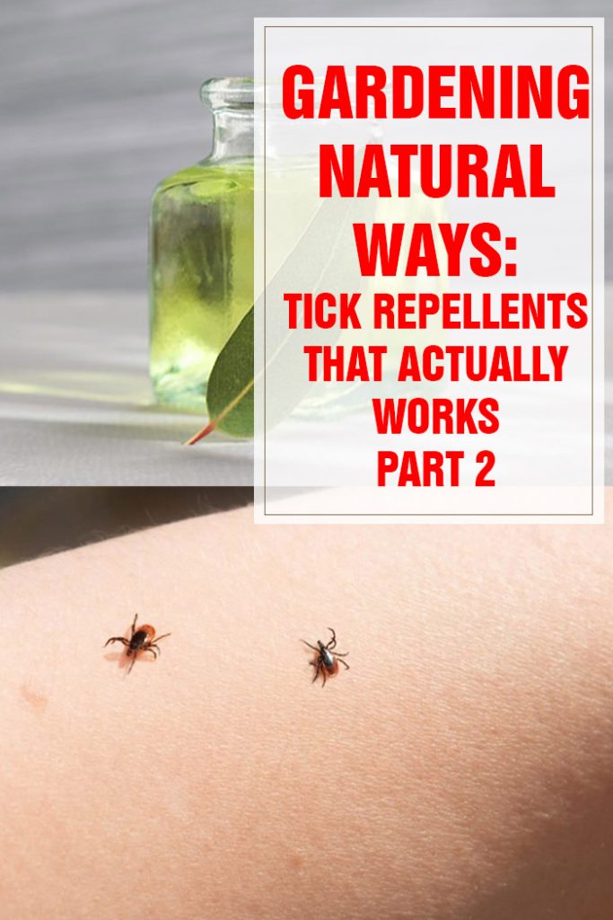 Tick Repellents That Actually Work Part 2