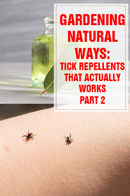 Tick Repellents That Actually Work Part 2 thumps