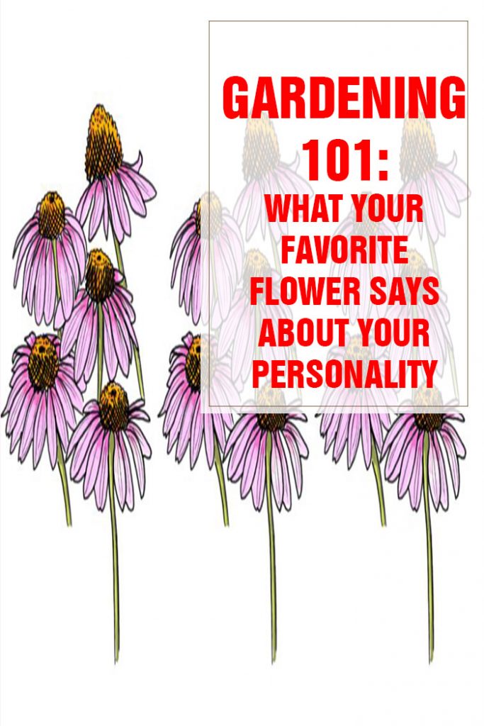 What Your Favorite Flower Says About Your Personality