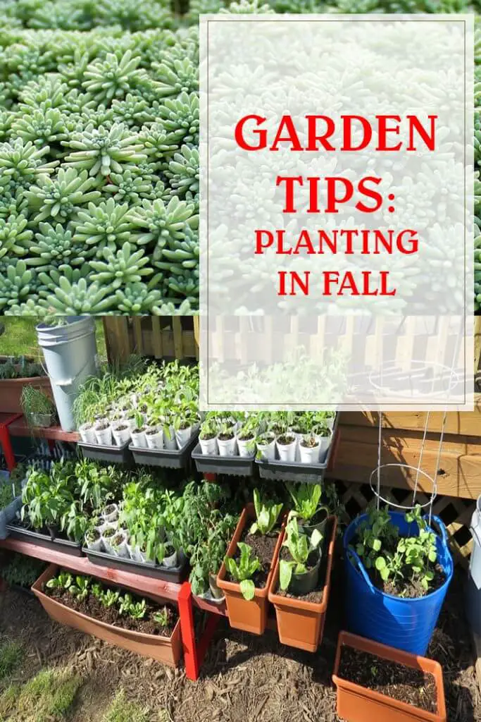 Planting In The Fall