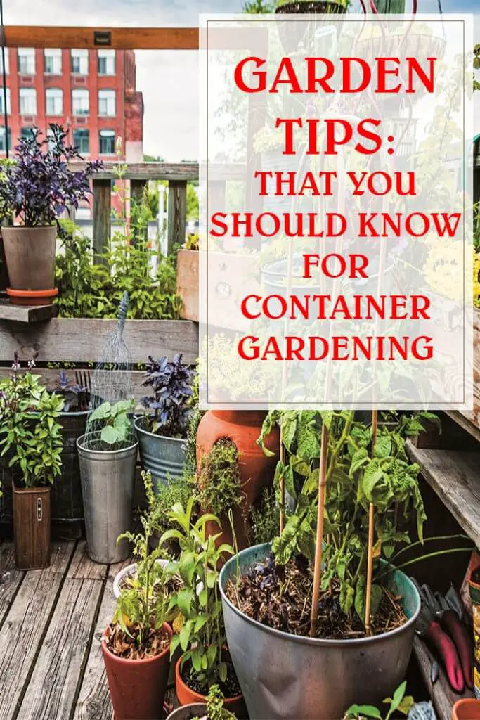 Tips That You Should Know For Container Gardening