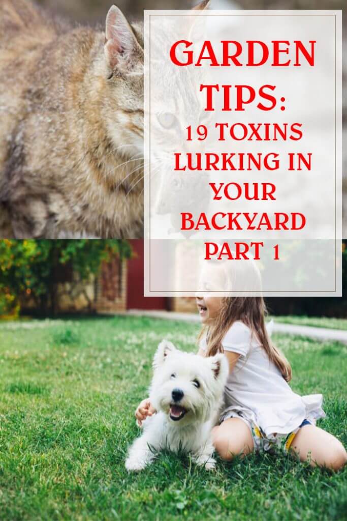 19 Toxins Lurking In Your Backyard Part 1