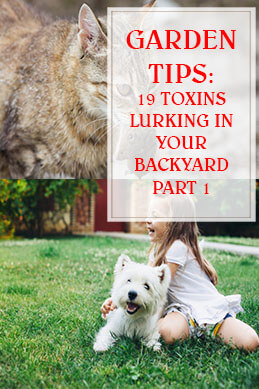 19 Toxins Lurking In Your Backyard Part 1