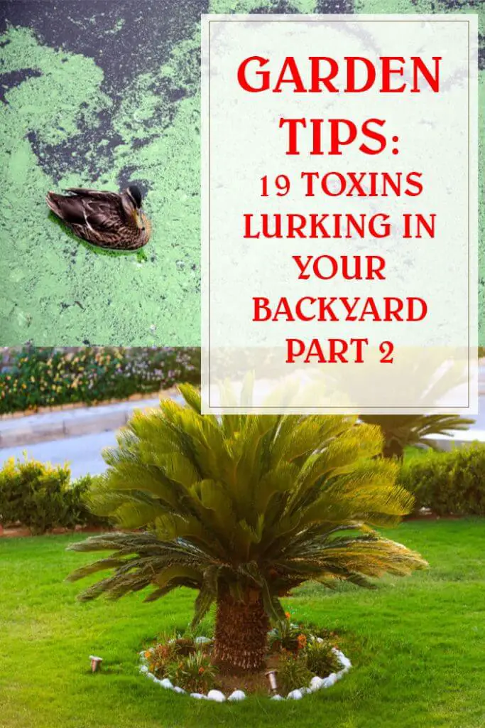 19 Toxins Lurking In Your Backyard Part 2