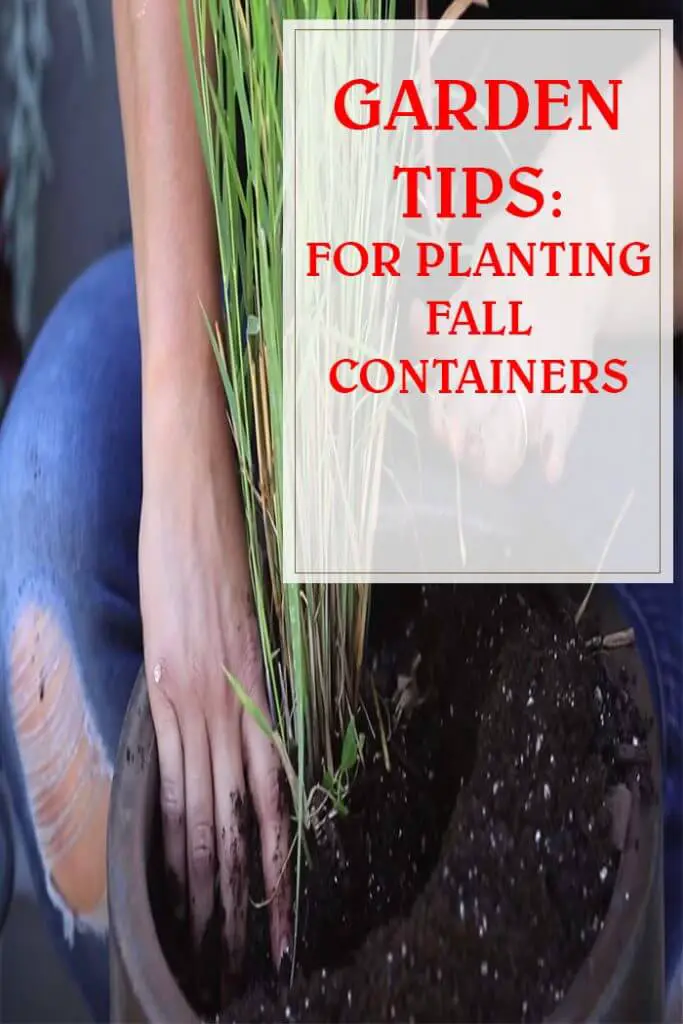 Follow These Tips For Planting Fall Containers