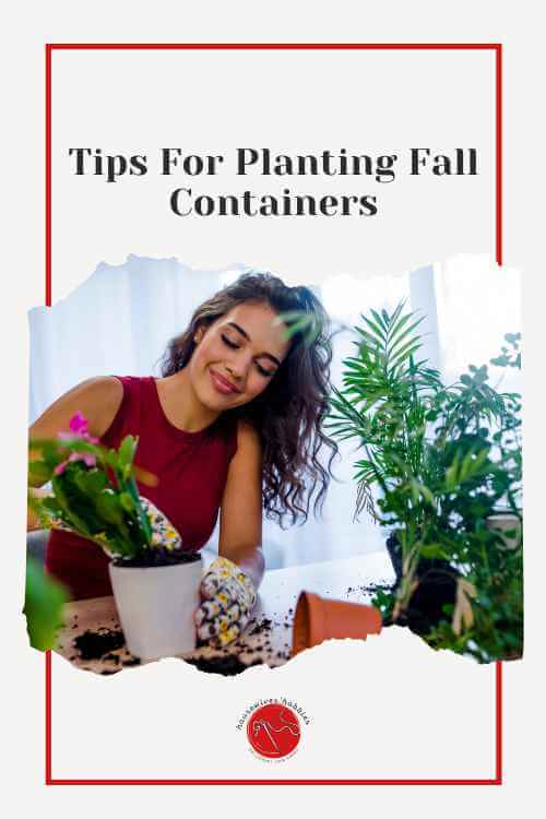 Tips For Planting Fall Containers