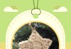 Free Crochet Pattern Sweet and Simple Christmas Star free-crochet-pattern-sweet-and-simple-christmas-star